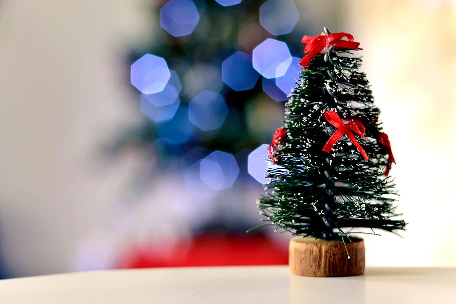 Christmas Tree On Display In The Business Centre (Cardiff) Ltd